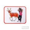Lámina postura animal ROYLCO material-didactico