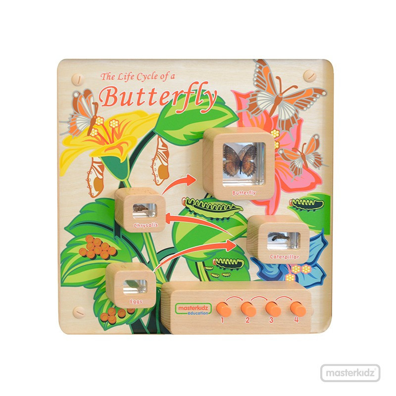 Tablero de Pared Ciclo Mariposa MASTERKIDZ material-didactico