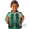 Rayos X del Cuerpo Humano ROYLCO material-didactico