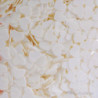 Confeti Corazón Dosificador 60g - Soy Didácticos
