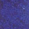 Confeti Surtido Dosificador 40g CREATIVE material-didactico