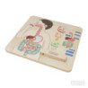Tablero de Pared Sistema Digestivo MASTERKIDZ material-didactico