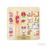 Tablero de Pared Sistema Cuerpo Humano MASTERKIDZ material-didactico