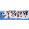 Puzzle Pingüino 108 Piezas + Figuras WENNO material-didactico