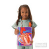 Láminas Cuerpo Humano en Acción 10u ROYLCO material-didactico