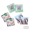 Memorice Plus Fauna Chilena DACTIC material-didactico