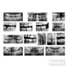 Rayos X Dentales ROYLCO material-didactico